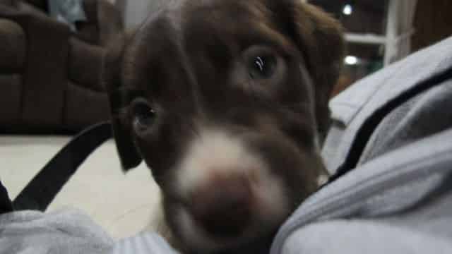 Interested in the phone