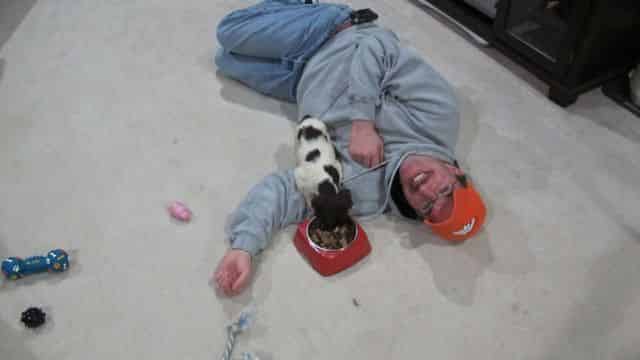 Eating despite Brian