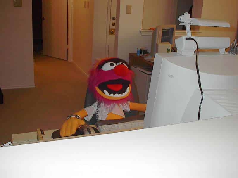 Surfin the Web