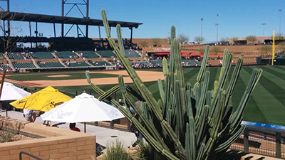 Spring Training 2014