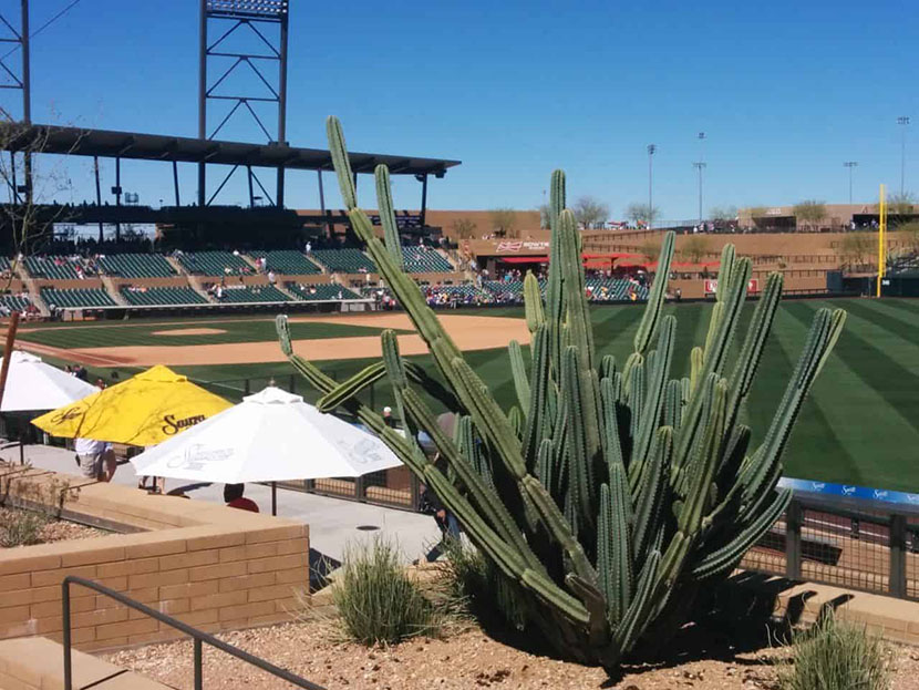 Spring Training 2014