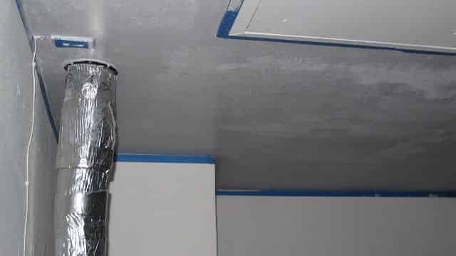 Painted Ceiling #5