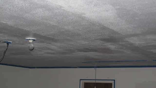 Painted Ceiling #6