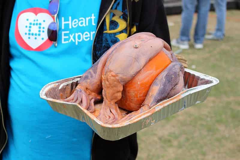 Baby KRAKEN's eating this pumpkin