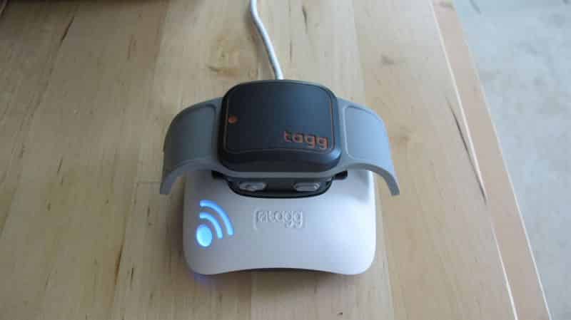 Pet Tracker charging on Base Station -- Front Side