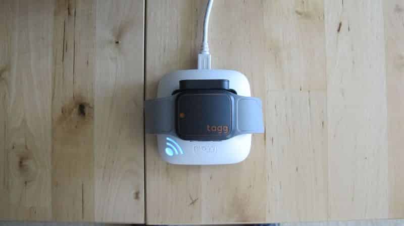 Pet Tracker charging on Base Station -- Top