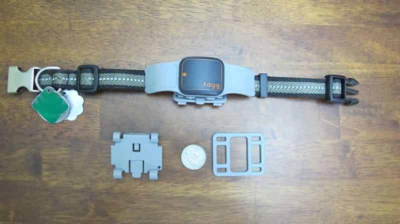 Tracker clipped to Zoe's Collar