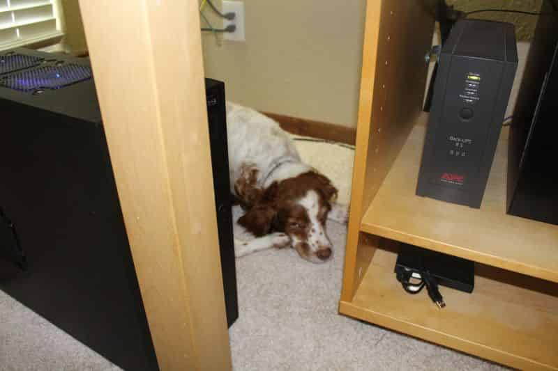 She found a safe place very early on.