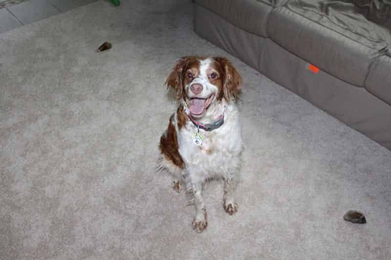 And an even happier face, who wouldn't love this?