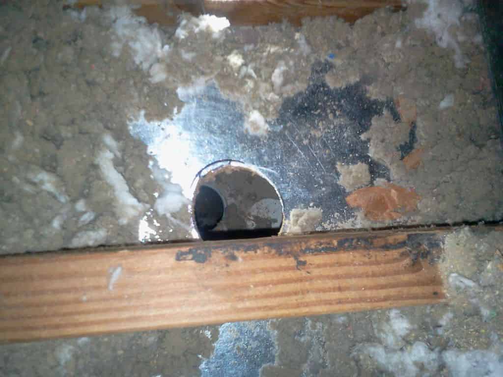 My Network Cupboard: Into the Attic
